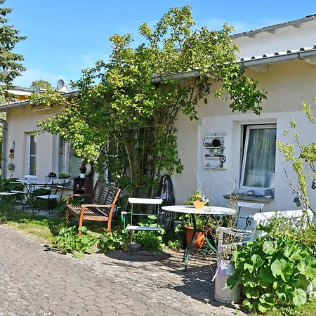 Mit Kamin Am Selliner Seepark
